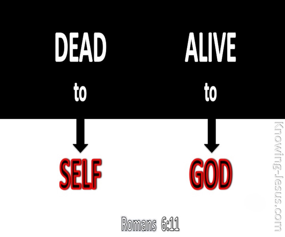 Romans 6:11 Alive Unto God (devotional)08:15 (black)